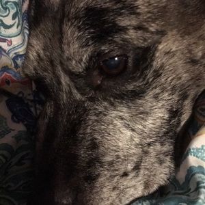 Meet your Posher, Jenny